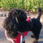 ヒメ日記 2025/02/23 07:36 投稿 桐生【きりゅう】 丸妻 西船橋店