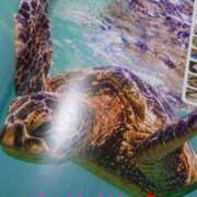 ヒメ日記 2025/04/06 06:23 投稿 桐生【きりゅう】 丸妻 西船橋店