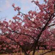 ヒメ日記 2025/04/16 21:33 投稿 桐生【きりゅう】 丸妻 西船橋店