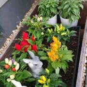 ヒメ日記 2025/06/15 15:54 投稿 桐生【きりゅう】 丸妻 西船橋店