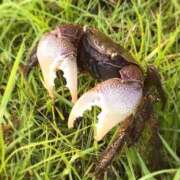 ヒメ日記 2025/07/18 16:29 投稿 桐生【きりゅう】 丸妻 西船橋店