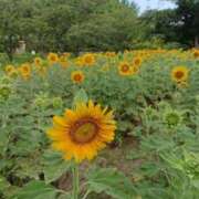 ヒメ日記 2025/07/21 16:08 投稿 桐生【きりゅう】 丸妻 西船橋店