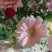 ヒメ日記 2025/08/21 09:56 投稿 桐生【きりゅう】 丸妻 西船橋店