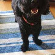 ヒメ日記 2025/08/21 15:34 投稿 桐生【きりゅう】 丸妻 西船橋店