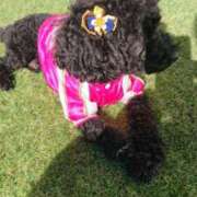 ヒメ日記 2025/11/19 08:38 投稿 桐生【きりゅう】 丸妻 西船橋店