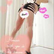 ヒメ日記 2025/11/19 21:57 投稿 桐生【きりゅう】 丸妻 西船橋店