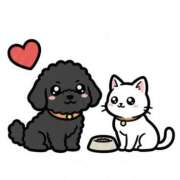 ヒメ日記 2026/01/30 06:06 投稿 桐生【きりゅう】 丸妻 西船橋店