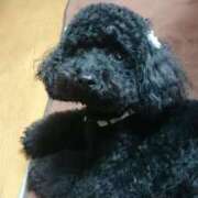 ヒメ日記 2026/02/11 07:38 投稿 桐生【きりゅう】 丸妻 西船橋店