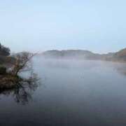 ヒメ日記 2026/03/03 20:47 投稿 桐生【きりゅう】 丸妻 西船橋店