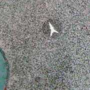 桐生【きりゅう】 続き 丸妻 西船橋店