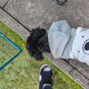 ヒメ日記 2026/04/05 13:26 投稿 桐生【きりゅう】 丸妻 西船橋店