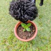 ヒメ日記 2026/04/19 08:58 投稿 桐生【きりゅう】 丸妻 西船橋店