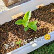 ヒメ日記 2026/04/26 08:19 投稿 桐生【きりゅう】 丸妻 西船橋店