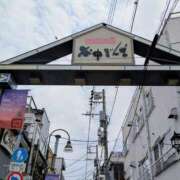 ヒメ日記 2026/06/11 15:28 投稿 桐生【きりゅう】 丸妻 西船橋店