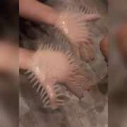 ヒメ日記 2025/03/14 02:46 投稿 恵里ザベス ビザールクリニック