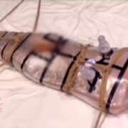 ヒメ日記 2025/04/26 16:26 投稿 恵里ザベス ビザールクリニック