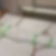 ヒメ日記 2025/11/05 11:06 投稿 恵里ザベス ビザールクリニック