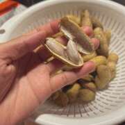 チュパカブラ 最近は時期物の落花生を茹でて食べました🥜 ビザールクリニック