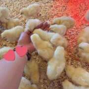 ヒメ日記 2025/11/15 14:46 投稿 チュパカブラ ビザールクリニック