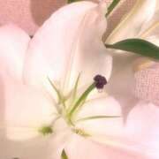 ヒメ日記 2025/04/14 14:22 投稿 蛇苺 ビザールクリニック