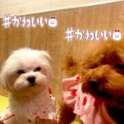 ヒメ日記 2025/06/20 11:02 投稿 蛇苺 ビザールクリニック