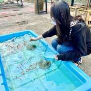 ヒメ日記 2024/12/30 18:57 投稿 阿部サダヨ ビザールクリニック