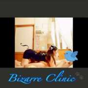 ヒメ日記 2024/12/30 20:02 投稿 阿部サダヨ ビザールクリニック