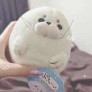 ヒメ日記 2024/12/17 07:30 投稿 らむ ダイスキ