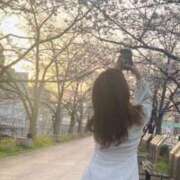 ヒメ日記 2025/03/27 15:04 投稿 らむ ダイスキ