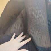 ヒメ日記 2025/06/04 16:40 投稿 らむ ダイスキ