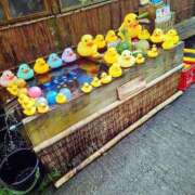 ヒメ日記 2025/06/17 10:48 投稿 らむ ダイスキ