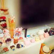 ヒメ日記 2025/08/27 05:38 投稿 らむ ダイスキ