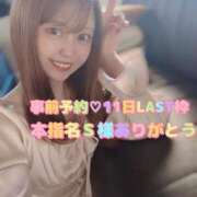 ヒメ日記 2025/11/06 13:23 投稿 らむ ダイスキ