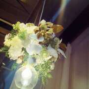 ヒメ日記 2025/11/26 03:54 投稿 らむ ダイスキ