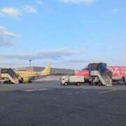 ヒメ日記 2026/02/12 14:08 投稿 らむ ダイスキ