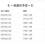 ヒメ日記 2026/03/15 21:18 投稿 さやか 妻天 京橋店