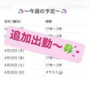 ヒメ日記 2026/04/25 21:14 投稿 さやか 妻天 京橋店