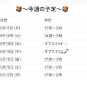 ヒメ日記 2026/05/11 21:24 投稿 さやか 妻天 京橋店