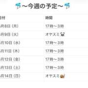 ヒメ日記 2026/06/11 23:22 投稿 さやか 妻天 京橋店