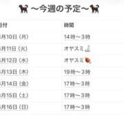 ヒメ日記 2026/08/14 22:24 投稿 さやか 妻天 京橋店