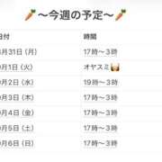 ヒメ日記 2026/09/03 23:36 投稿 さやか 妻天 京橋店