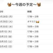 ヒメ日記 2026/09/30 22:44 投稿 さやか 妻天 京橋店