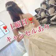 ヒメ日記 2025/01/22 05:57 投稿 えみり 東京妻