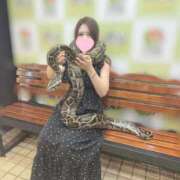 ヒメ日記 2025/05/13 18:05 投稿 えみり 東京妻