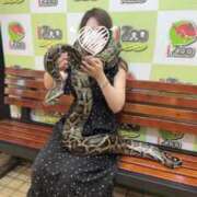 ヒメ日記 2025/09/03 19:18 投稿 えみり 東京妻