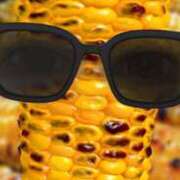 ヒメ日記 2025/05/30 07:00 投稿 結城 すず SUMIRE