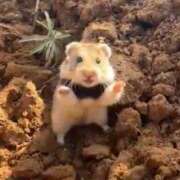 ヒメ日記 2025/07/24 06:00 投稿 結城 すず SUMIRE