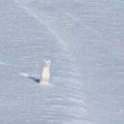 ヒメ日記 2025/07/25 07:00 投稿 結城 すず SUMIRE