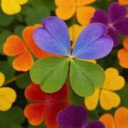 ヒメ日記 2025/07/27 07:00 投稿 結城 すず SUMIRE