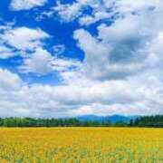 ヒメ日記 2025/08/20 07:00 投稿 結城 すず SUMIRE